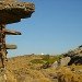 garrigue Tinos